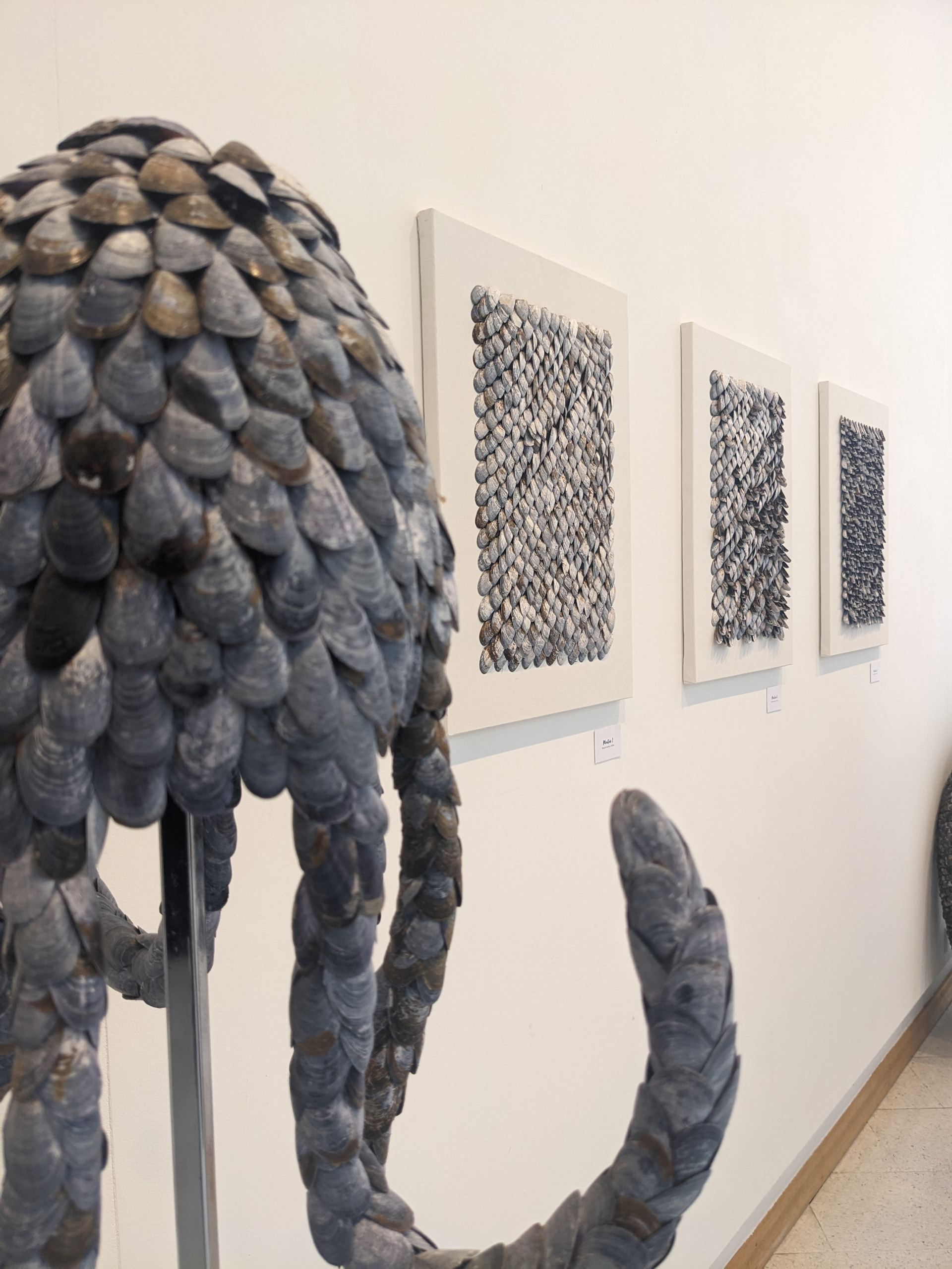 Exposition Moule(s)